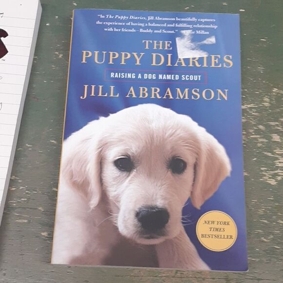 3 Cat Dog books about  mischievious animals. - Picture 4 of 4